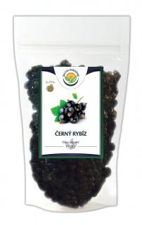 Černý rybíz - plod 100g Salvia Paradise