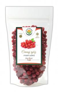 Červený rybíz sušený mrazem - lyofilizovaný 25g Salvia Paradise