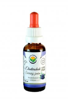 Eleuterokok AF tinktura 30ml Salvia Paradise