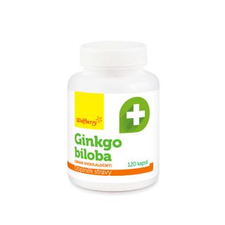 Ginkgo biloba (jinan dvoulaločný) 120ks Wolfberry