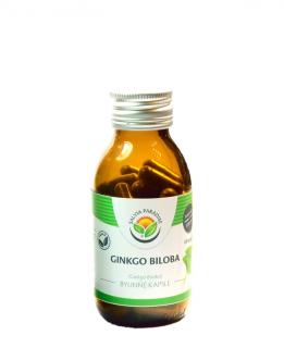 Ginkgo biloba - jinan kapsle 60ks Salvia Paradise