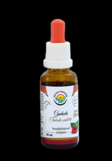 Guduchi - chebule srdčitá AF tinktura 30 ml Salvia Paradise