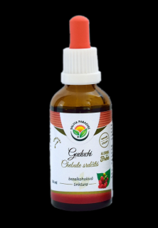 Guduchi - chebule srdčitá AF tinktura 50 ml Salvia Paradise