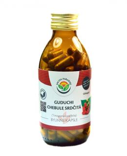 Guduchi - chebule srdčitá kapsle 120ks Salvia Paradise