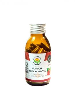 Guduchi - chebule srdčitá kapsle 60ks Salvia Paradise