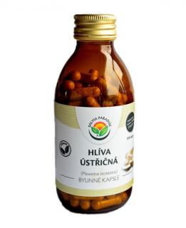 Hlíva ústřičná kapsle 120ks Salvia Paradise