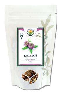 Jetel luční květ 1kg Salvia Paradise