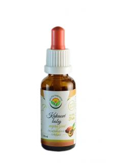 Kakaové boby AF tinktura 30ml Salvia Paradise