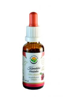 Kanadská brusinka lyofilizovaná AF tinktura 30ml Salvia Paradise