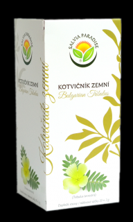 Kotvičník zemní - Tribulus - nálevové sáčky 20x2g Salvia Paradise