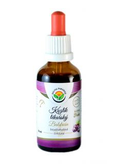 Kozlík lékařský - baldrián AF tinktura 50ml Salvia Paradise