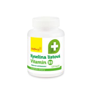 Kyselina listová (vitamín B9) kapsle 120ks Wolfberry