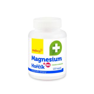 Magnesium (hořčík) + B6 kapsle 120ks Wolfberry