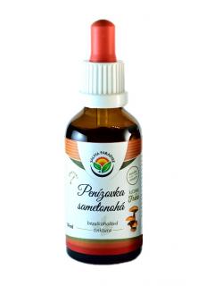 Penízovka sametonohá AF tinktura 50ml Salvia Paradise