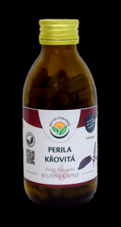 Perila křovitá kapsle 120 ks Salvia Paradise