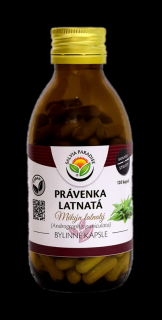 Právenka latnatá kapsle 120ks Salvia Paradise