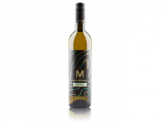 Sauvignon pozdní sběr 2023 suché 12% 0,75l Mühlberger