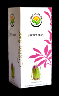 Štětka lesní nálevový sáček 20x2g Salvia Paradise