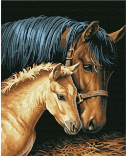 Diamantový obrázek 40x30cm - Kůň s hříbětem 7774