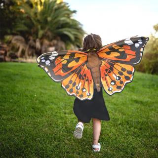 Insect Lore Motýlí křídla na ZÁDA - Babočka