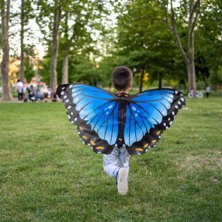 Insect Lore Motýlí křídla na ZÁDA - Blue Morpho