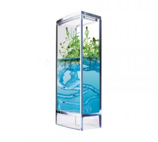 T.A.O.S. Forest Ant Mini Antquarium