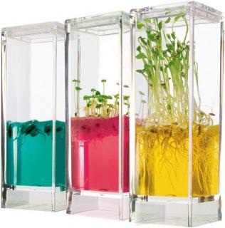 T.A.O.S. Plantarium Garden LAB