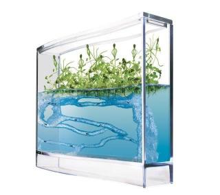 T.A.O.S. Super Forest Ant Ecoterrarium