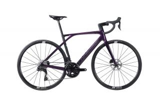 LAPIERRE Xelius SL 5.0 Di2 Luxy Blackberry Varianta: L