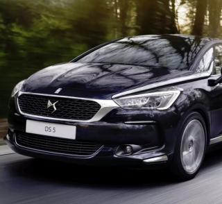 Zimní štít pro Citroen DS5 - originál Citroen (9810568480)