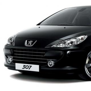 Zimní štít pro Peugeot 307, clona chladiče originál (7429G0)S1