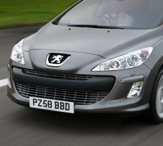 Zimní štít pro Peugeot 308 původní řada, clona chladiče (7429G2)