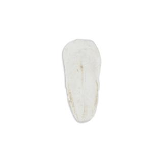 Akinu Sépiová kost VOLNĚ (1kg) 15 - 20 cm