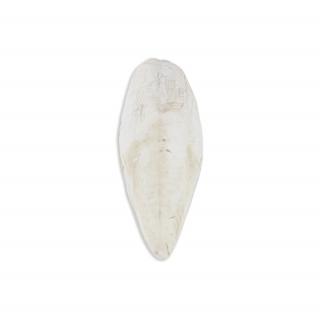 Akinu Sépiová kost VOLNĚ (1kg) 20 - 25 cm