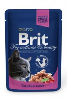 Brit Premium Cat kapsa with Salmon & Trout 100g