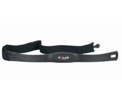 POLAR T31