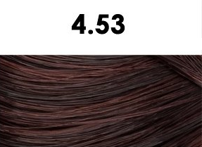 BHEYSÉ HAIR COLOR - Profesionální oxidační permanentní barva na vlasy s arganovým olejem a keratinem - PRO PROFESIONÁLY Odstín: 4.53 BROWN TITIAN RED