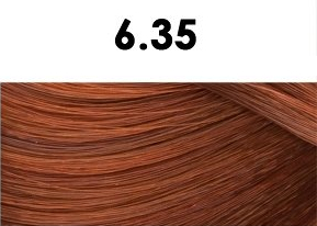 BHEYSÉ HAIR COLOR - Profesionální oxidační permanentní barva na vlasy s arganovým olejem a keratinem - PRO PROFESIONÁLY Odstín: 6.35 DARK PAPRIKA…