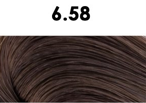 BHEYSÉ HAIR COLOR - Profesionální oxidační permanentní barva na vlasy s arganovým olejem a keratinem - PRO PROFESIONÁLY Odstín: 6.58 DARK CHOCOLATE…