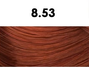 BHEYSÉ HAIR COLOR - Profesionální oxidační permanentní barva na vlasy s arganovým olejem a keratinem - PRO PROFESIONÁLY Odstín: 8.53 LIGHT TITIAN RED…