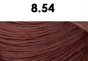 BHEYSÉ HAIR COLOR - Profesionální oxidační permanentní barva na vlasy s arganovým olejem a keratinem - PRO PROFESIONÁLY Odstín: 8.54 LIGHT BLONDE…