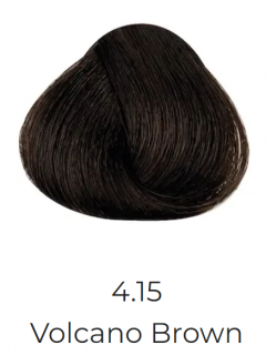 COLOREVO 100 ml - Profesionální oxidační krémová barva s ceraflux plus Odstín: 4,15