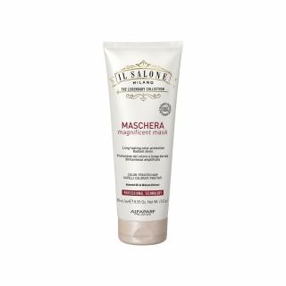 Maska ​​pro barvené a ošetřované vlasy 250 ml - MAGNIFICENT MASK - ALFAPARF IL SALONE MILANO