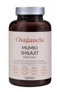 Chaganela Mumio Shilajit  120 kapslí