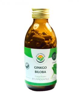 Ginkgo biloba - jinan 120 kapslí