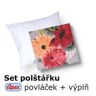 3D povláček na polštářek APEX - Garvinea - SET Polštářek s výplní + Povláček
