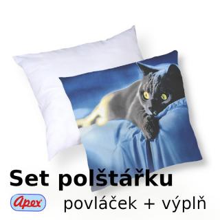 3D povláček na polštářek APEX - Modrá kočka - SET Polštářek s výplní + Povláček