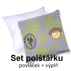 3D povláček na polštářek APEX - Pivovary - Polštářek s výplní (100% PES  kuličkové duté vlákno)