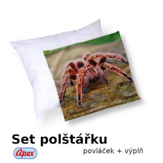 3D povláček na polštářek APEX - Sklípkan - Polštářek s výplní (100% PES  kuličkové duté vlákno)