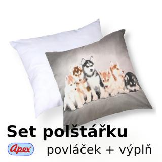 3D povláček na polštářek APEX - Štěňata - SET Polštářek s výplní + Povláček